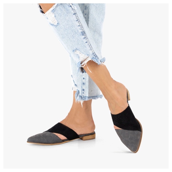 Mi.iM "Epic" Mule - Size 6 - Picture 6 of 7